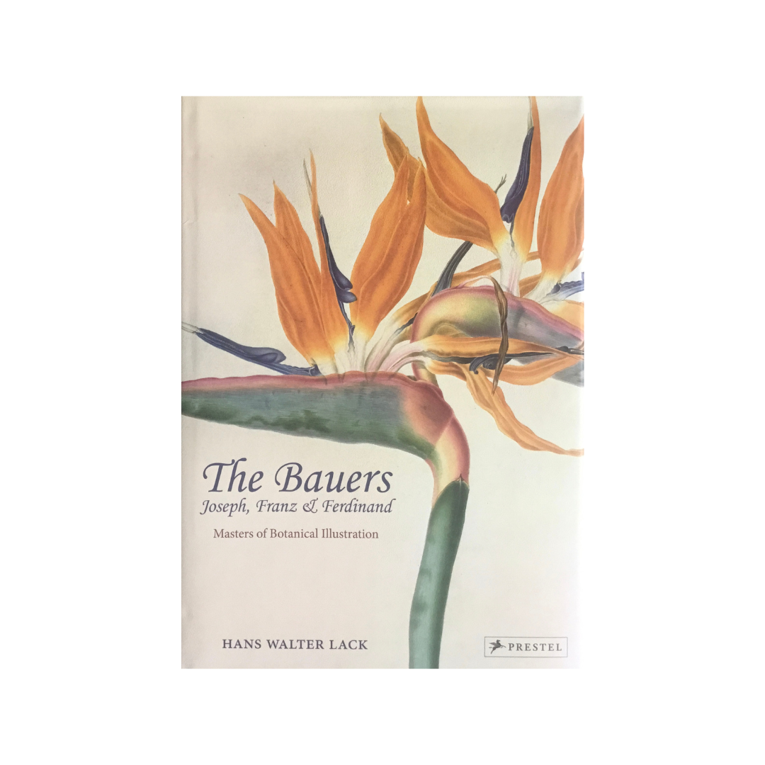 The Bauers. Masters of Botanical Illustration.