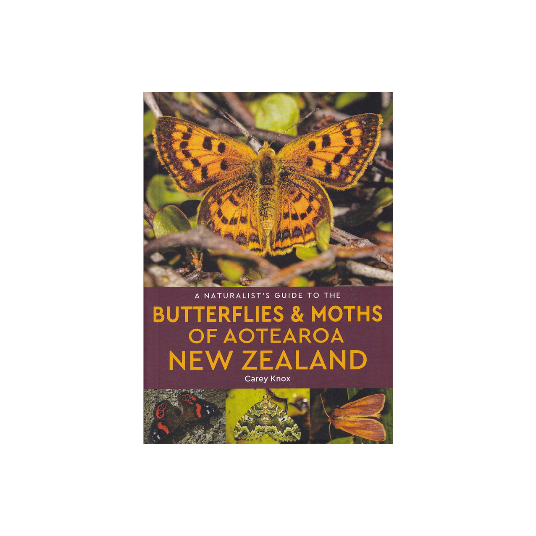 A Naturalists Guide to the Butterflies & Moths of Aotearoa New Zealand. NEW.