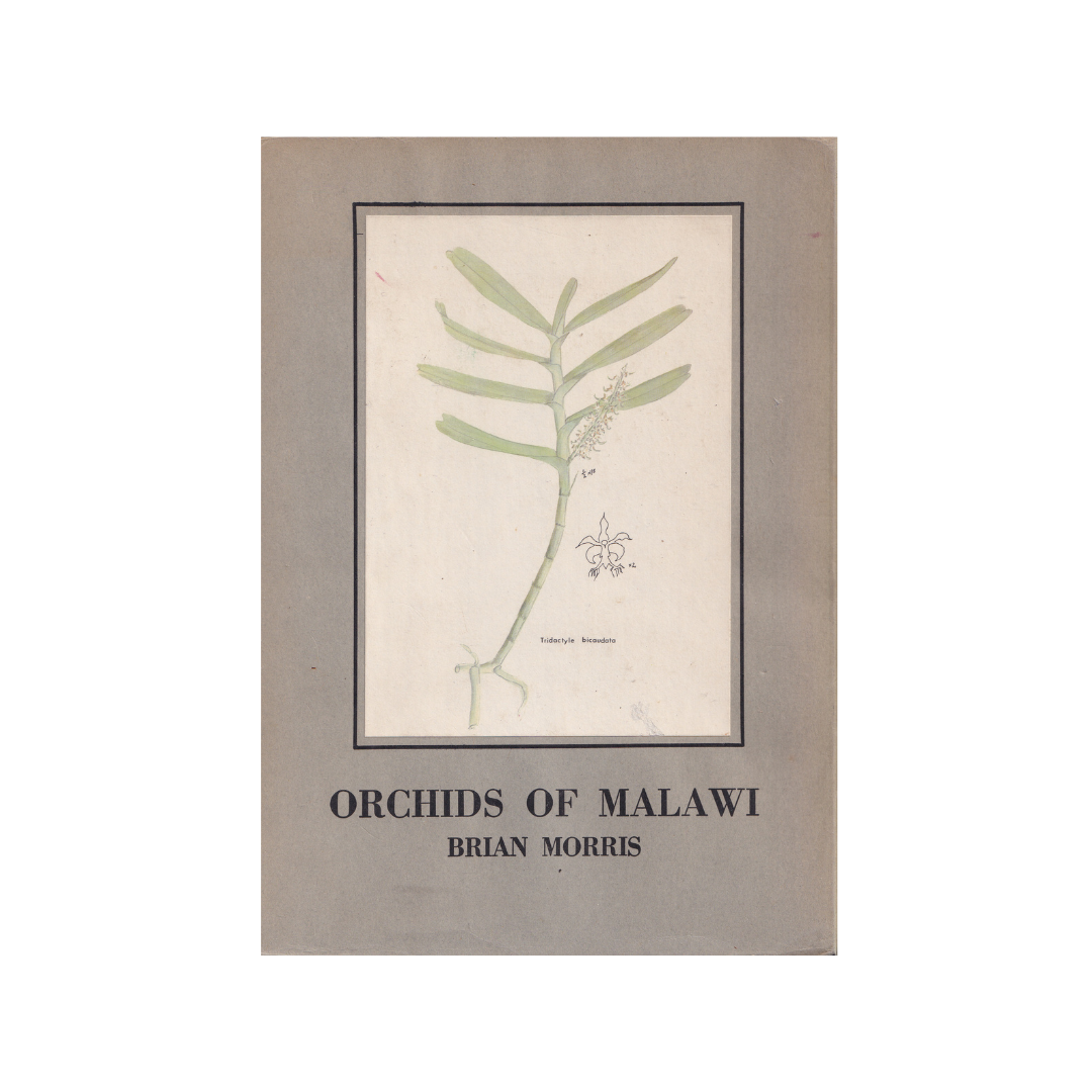 The Epiphytic Orchids of Malawi.