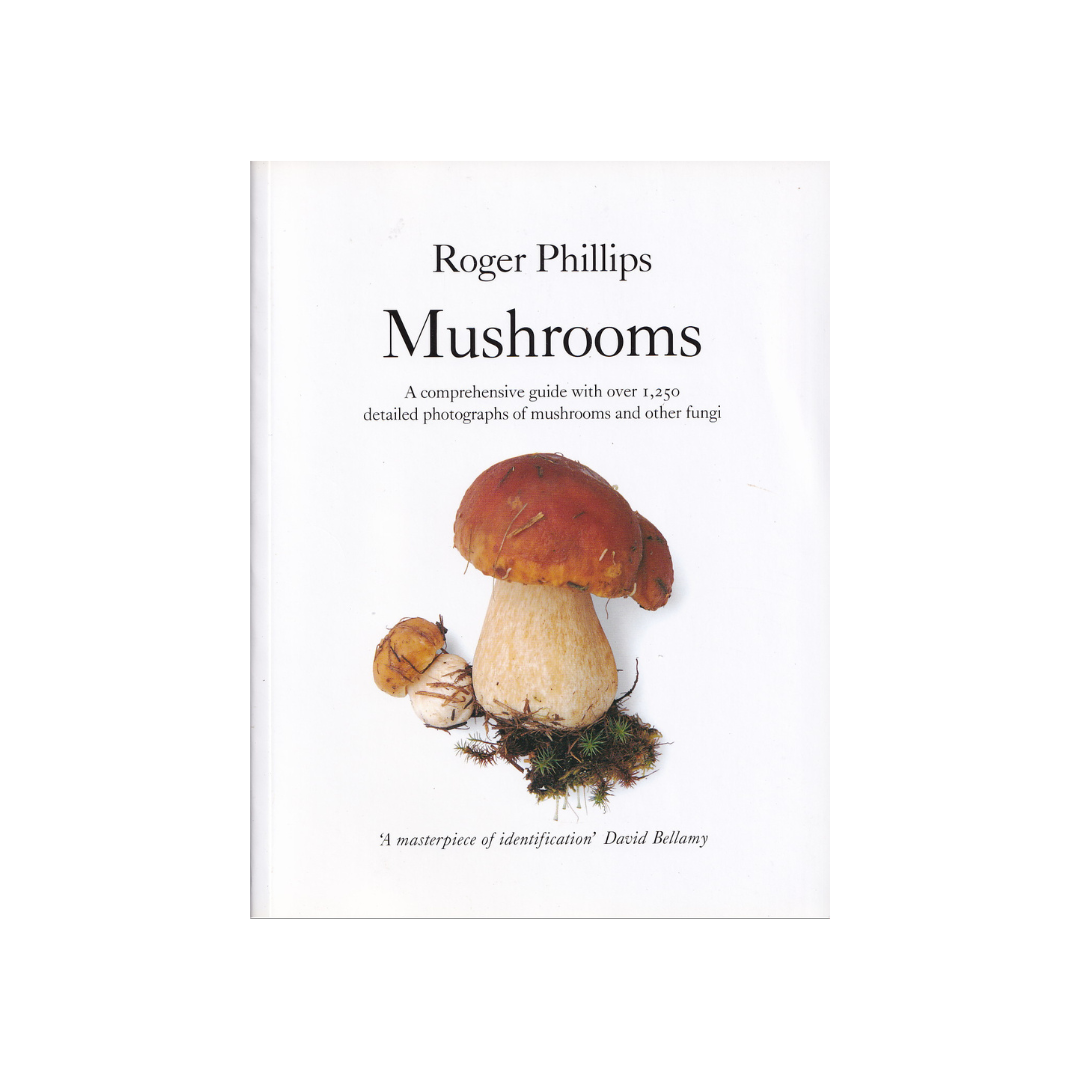 Mushrooms.