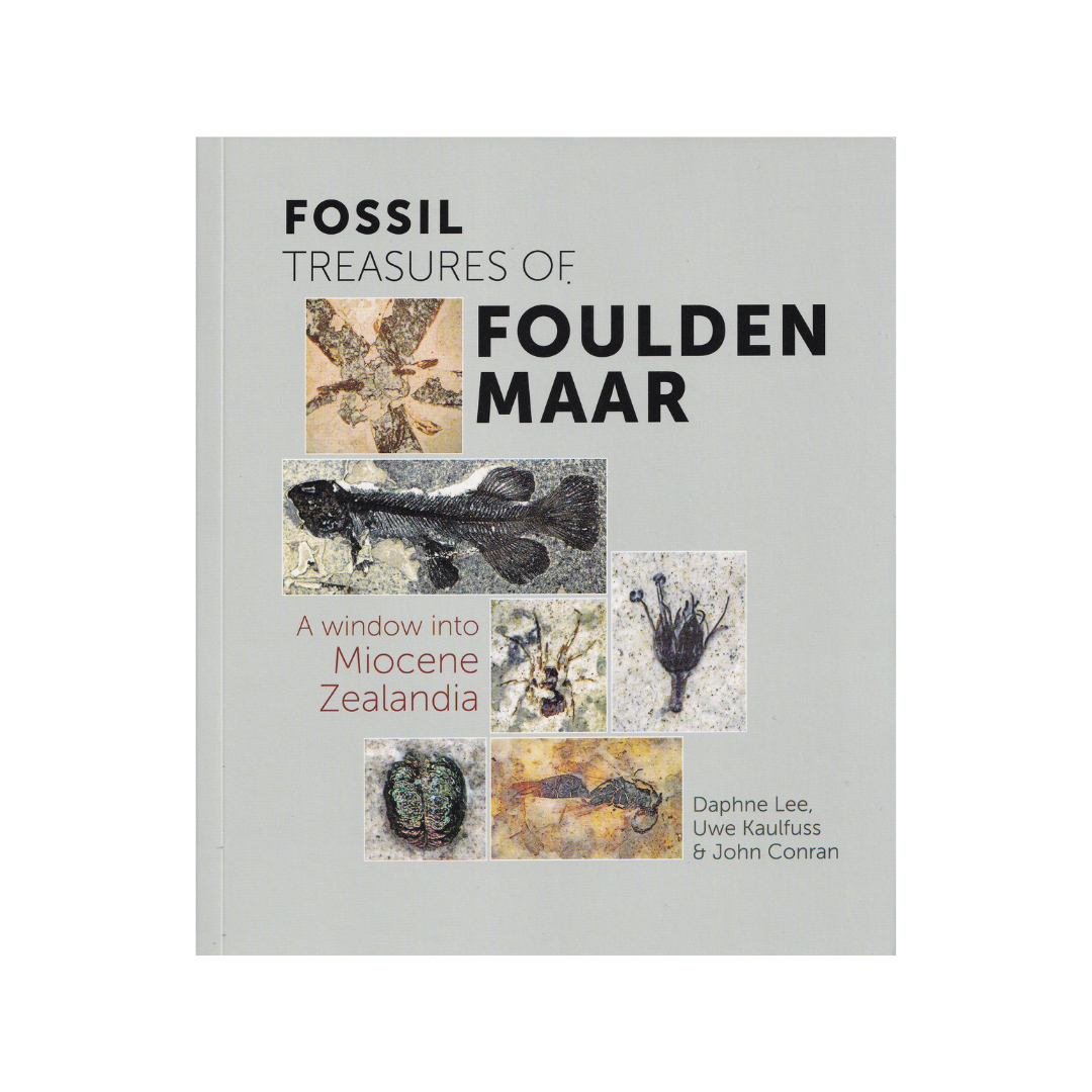Fossil Treasures of Foulden Maar. NEW.