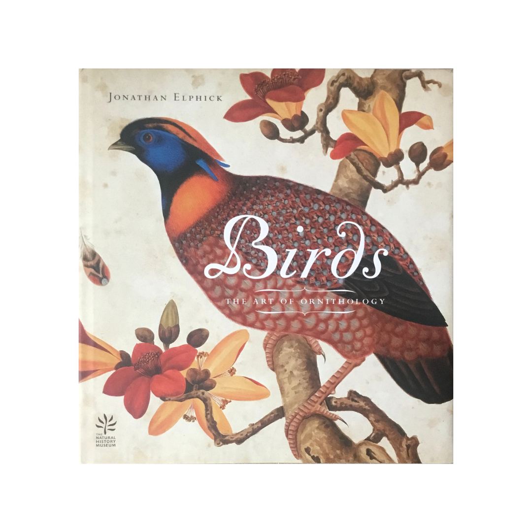 Birds. The Art of Ornithology.
