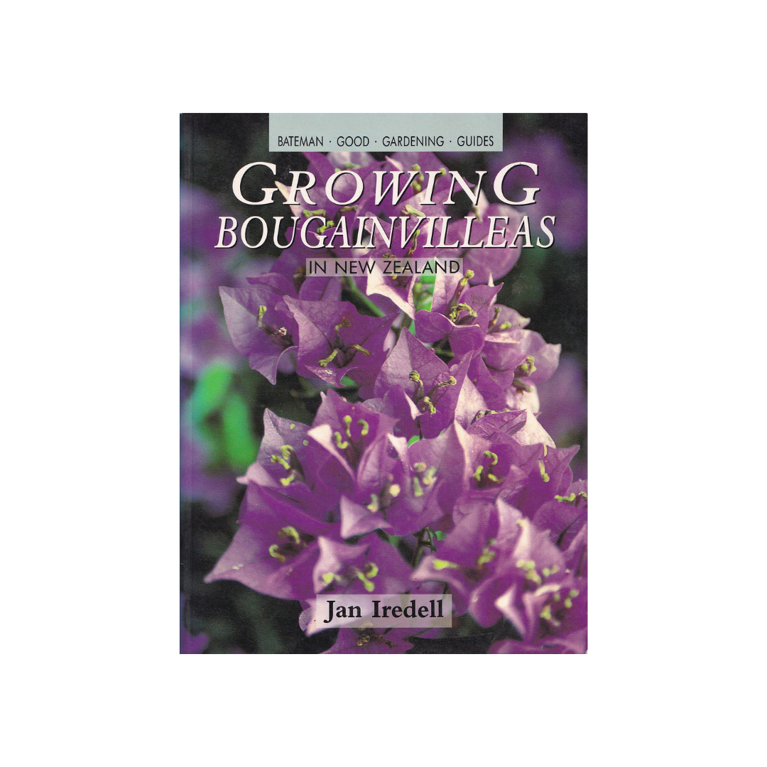 Growing Bougainvilleas in New Zealand.