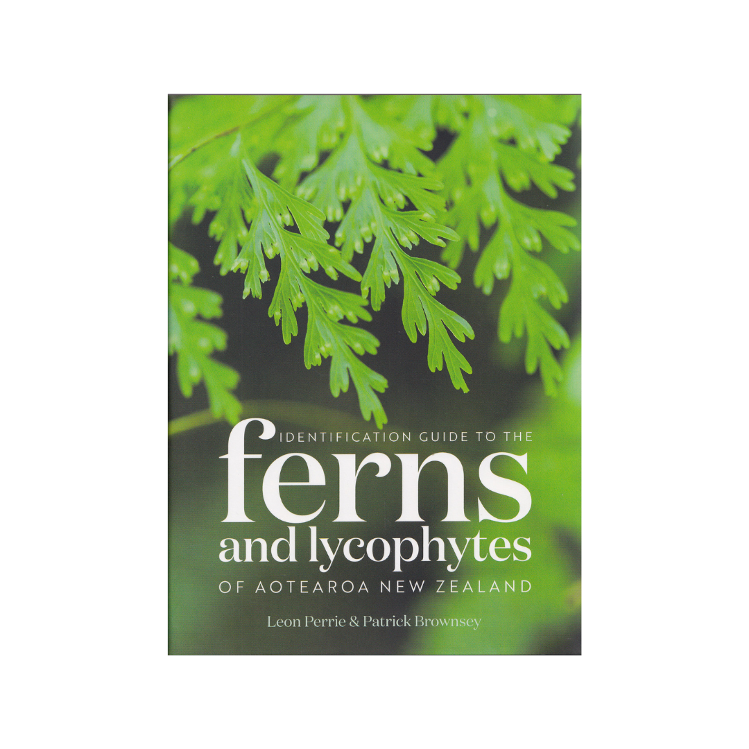 Identification Guide to the Ferns and Lycophytes of Aotearoa New Zealand. NEW.