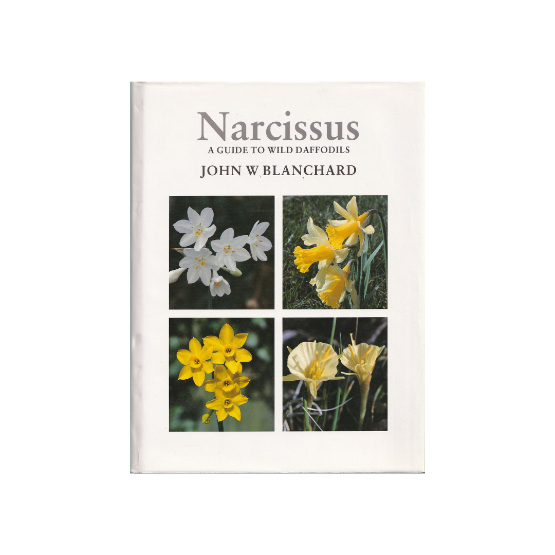 Narcissus. A Guide to Wild Daffodils.