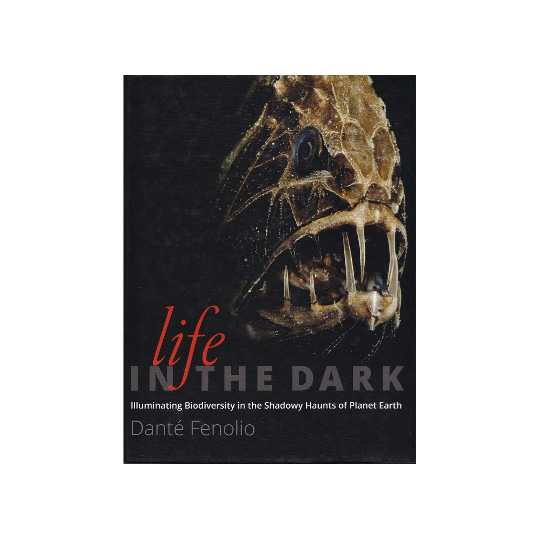 Life in the Dark.