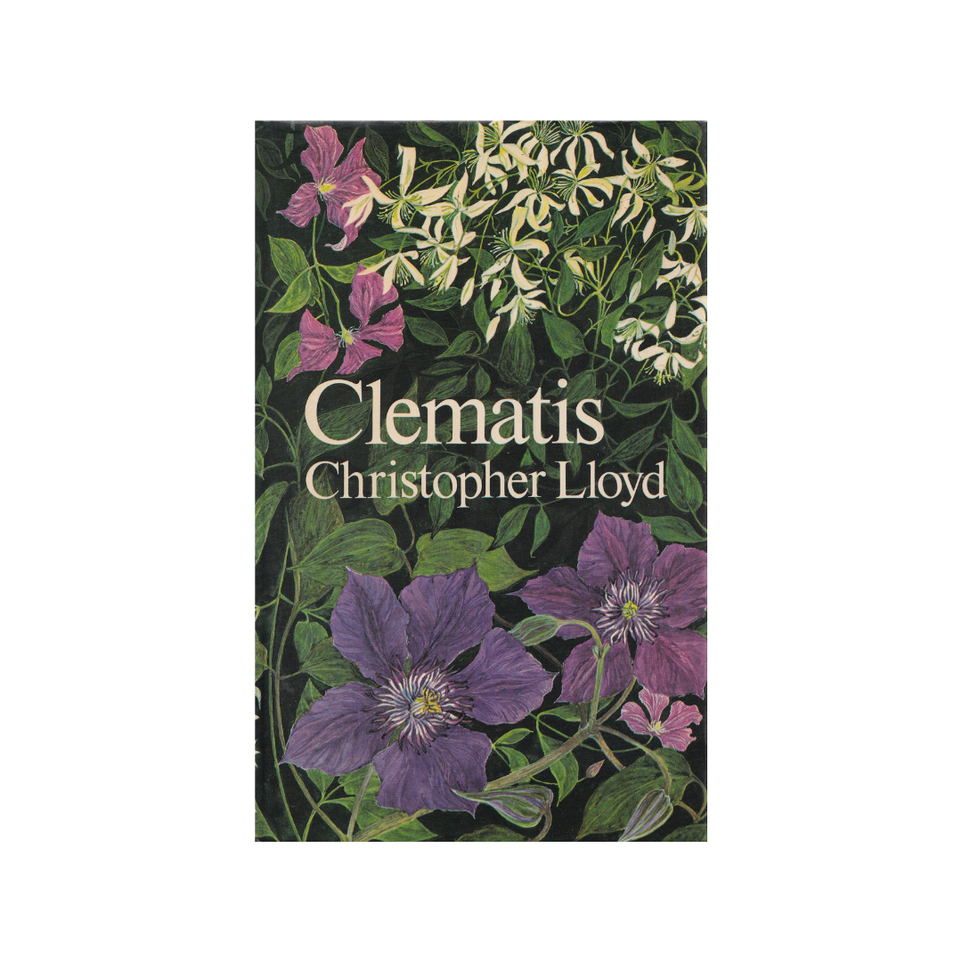 Clematis.