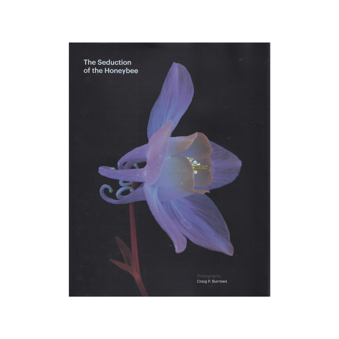 The Seduction of the Honeybee. NEW.