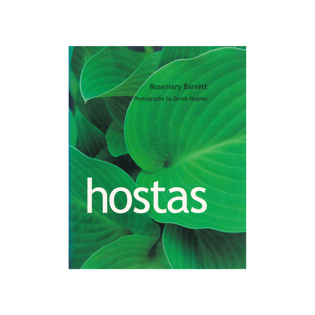 Hostas.