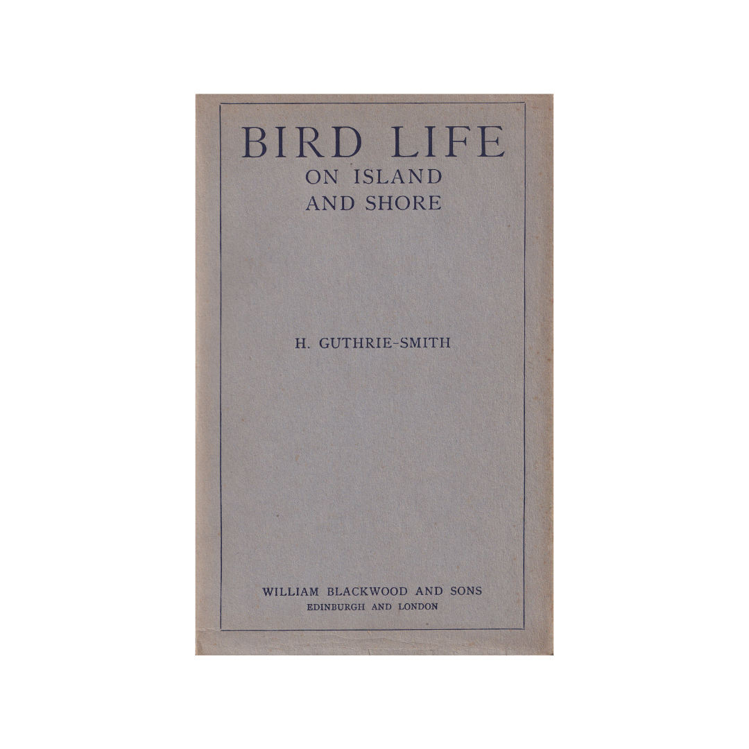 Bird Life on Island and Shore.