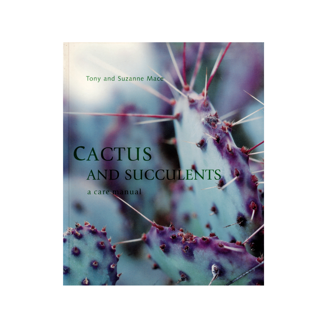 Cactus and Succulents.