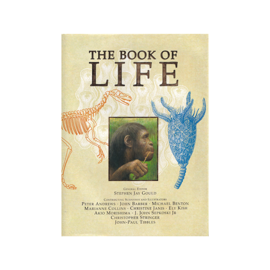 The Book of Life.