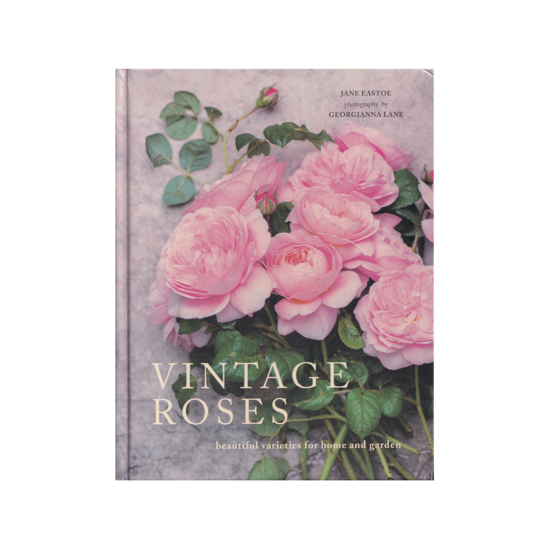 VINTAGE ROSES.