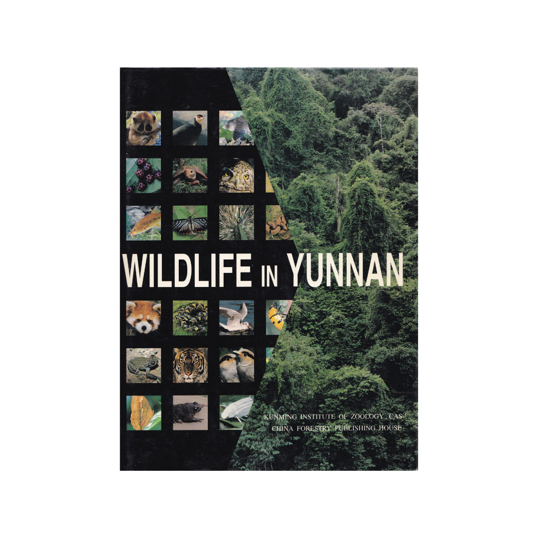 Wildlife in Yunnan.