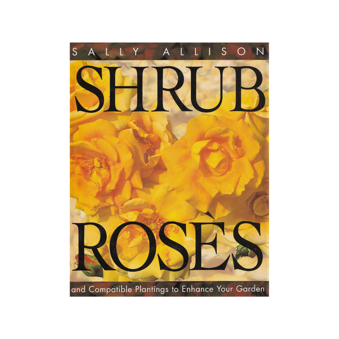 Shrub Roses.