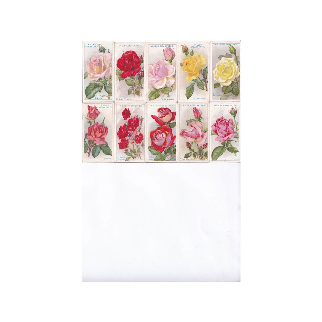 ROSES. Cigarette Cards. Wills 1926.
