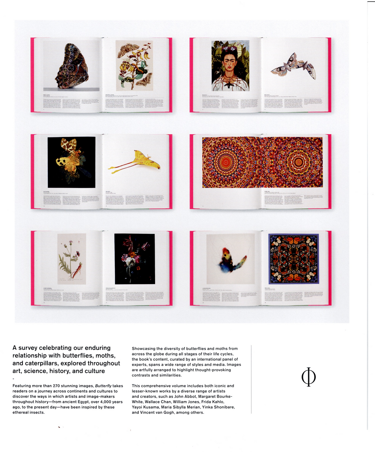 BUTTERFLY. Exploring the World of Lepidoptera. NEW.