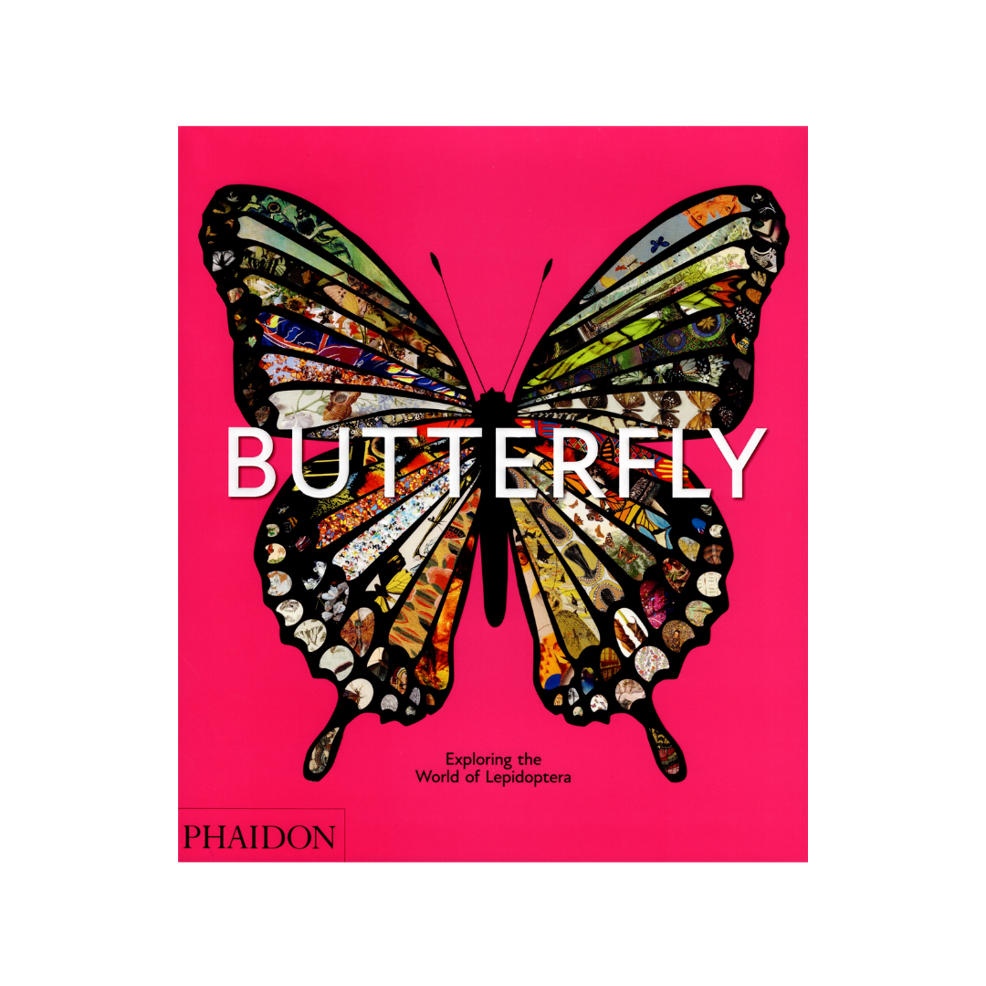 BUTTERFLY. Exploring the World of Lepidoptera. NEW.