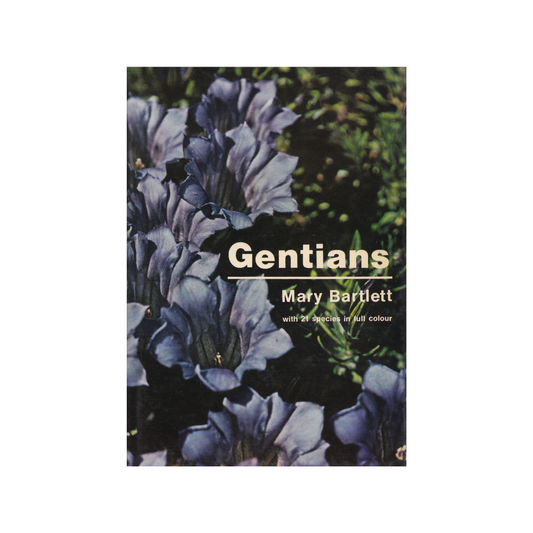 Gentians.