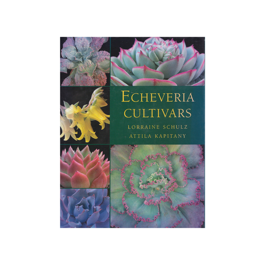 Echeveria Cultivars.
