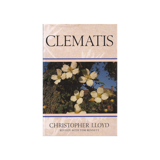 Clematis.