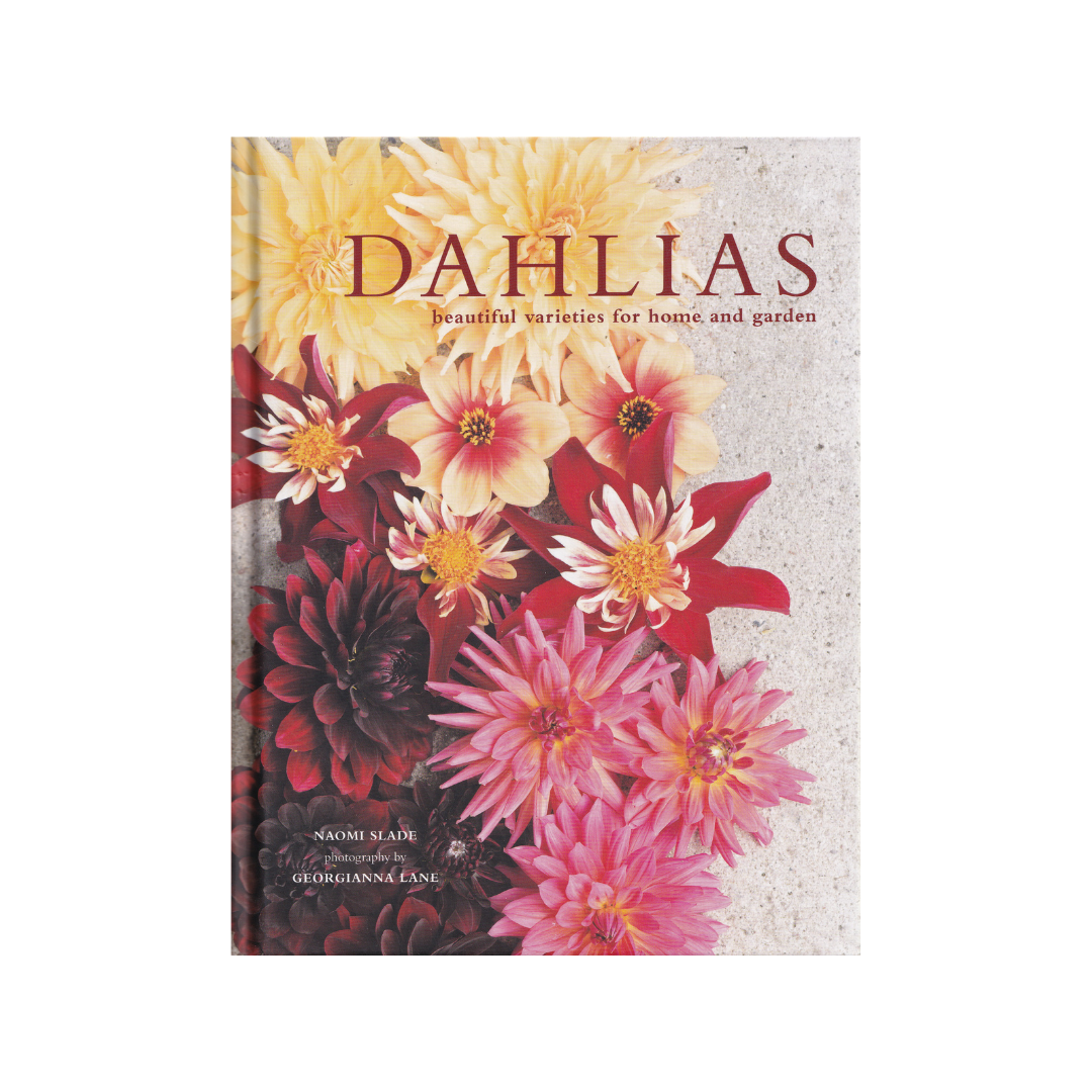 DAHLIAS Beautiful varieties for home and garden.