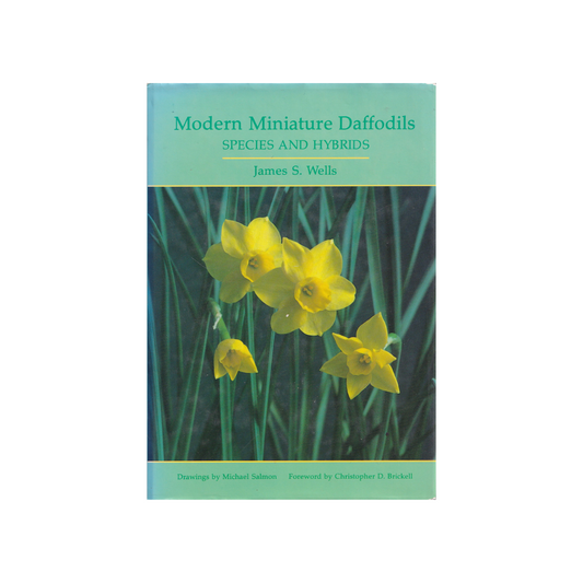 Modern Miniature Daffodils Species and Hybrids9r.