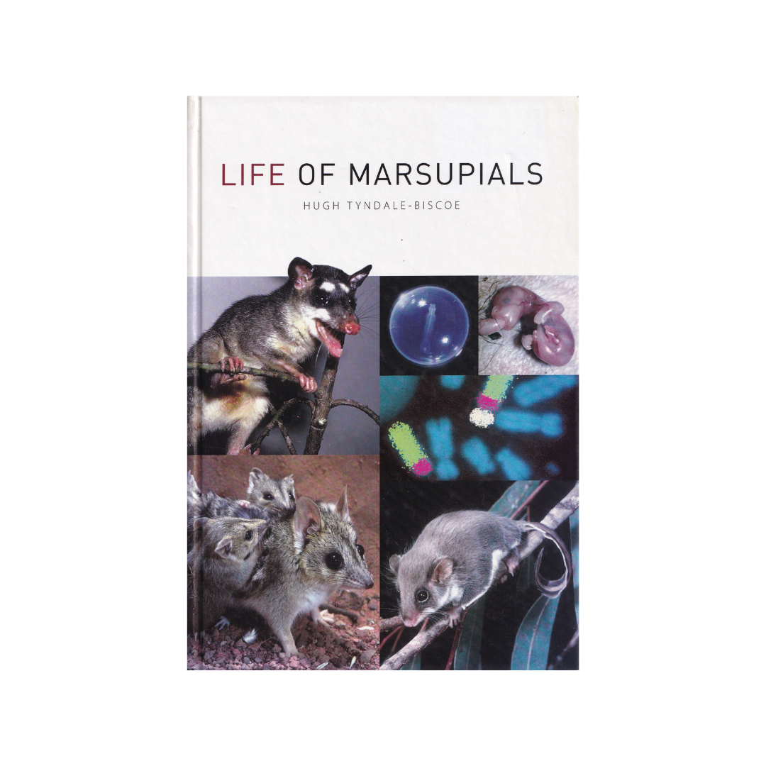 Life of Marsupials.