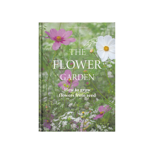 The Flower Garden. How to grow flowers from seed.