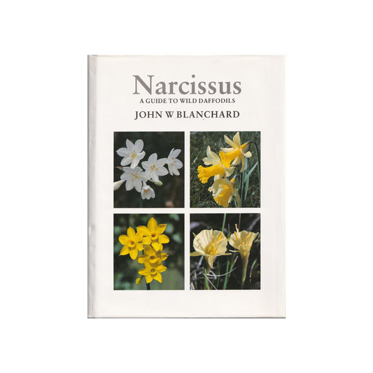 Narcissus. A Guide to Wild Daffodils.