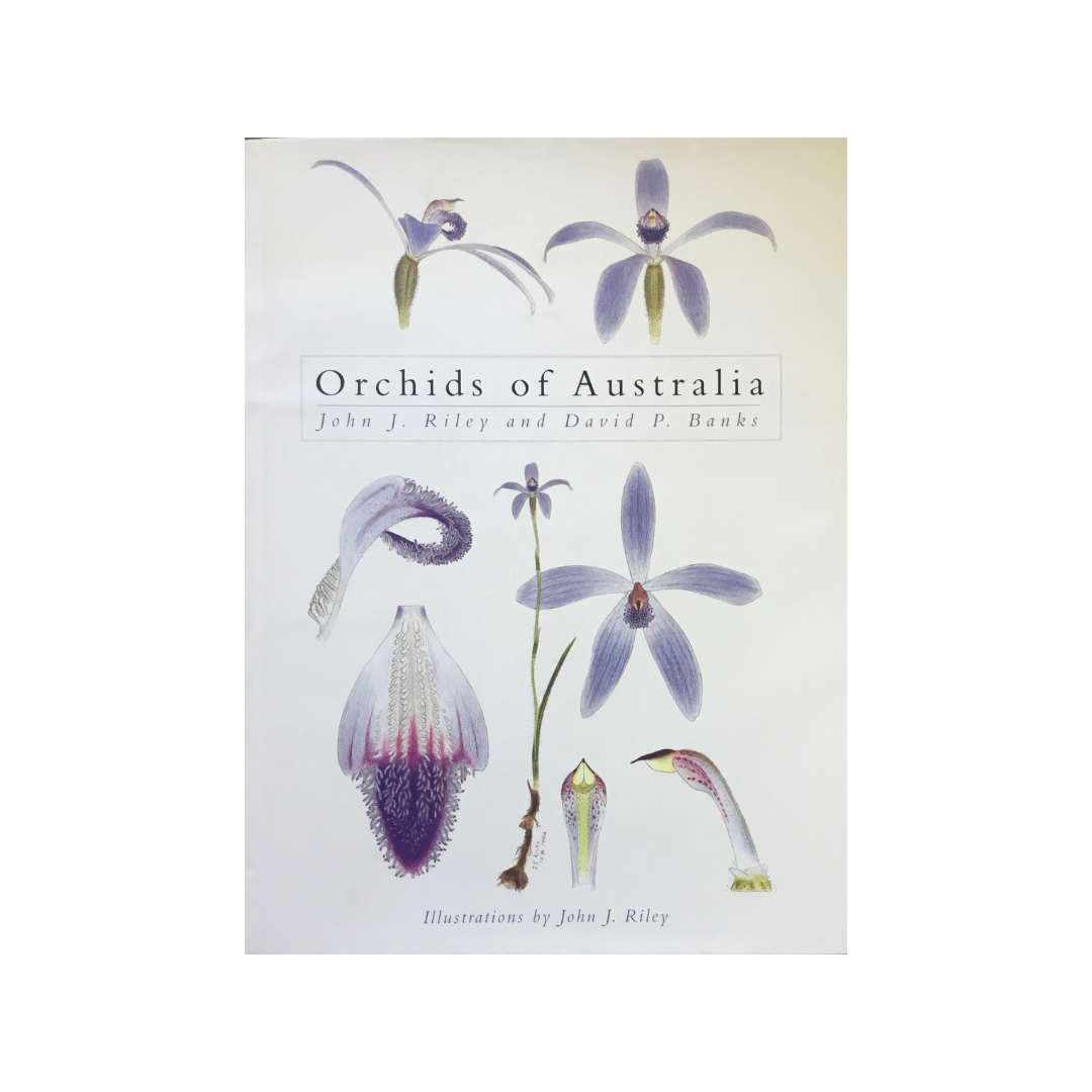 Orchids of Australia.