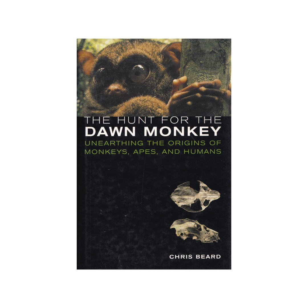 The Hunt for the Dawn Monkey.