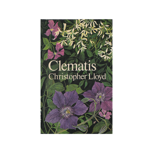 Clematis.