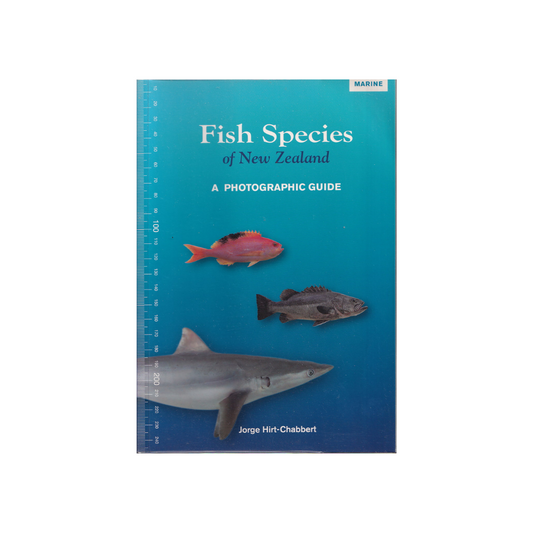 Fish Species of New Zealand. A Photographic Guide.