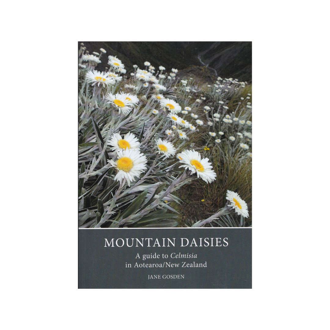 Mountain Daisies. A Guide to Celmisia in Aotearoa/New Zealand. NEW.