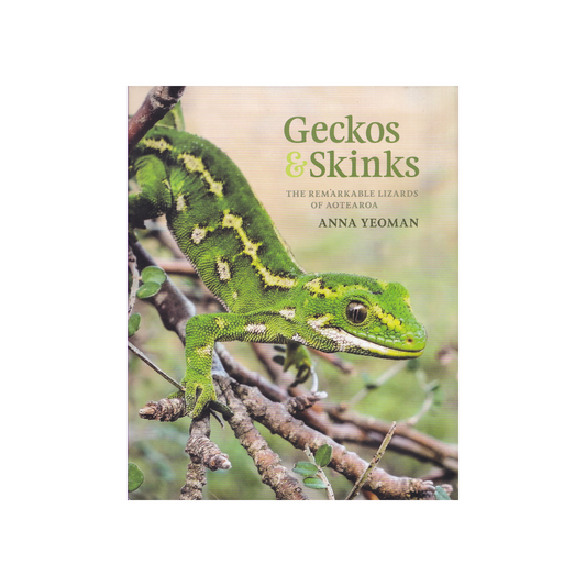 Geckos & Skinks. The Remarkable Lizards of Aotearoa. NEW.