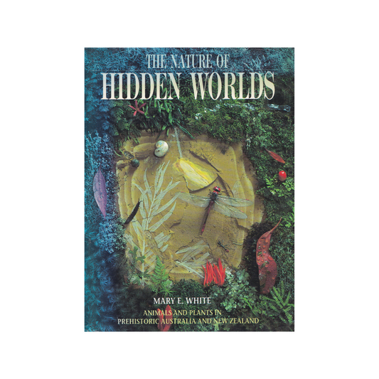 The Nature of Hidden Worlds.