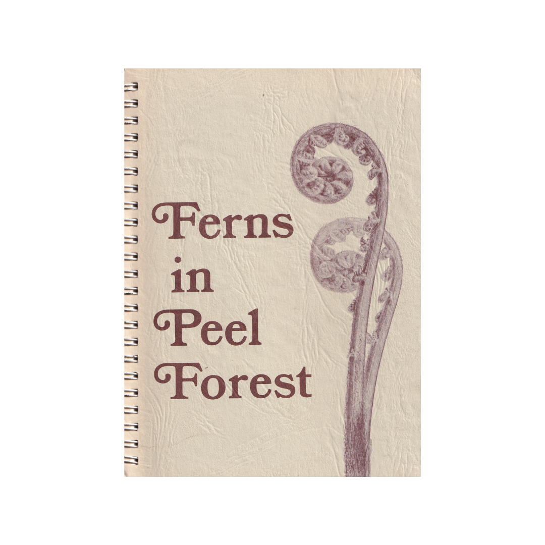 Ferns in Peel Forest.