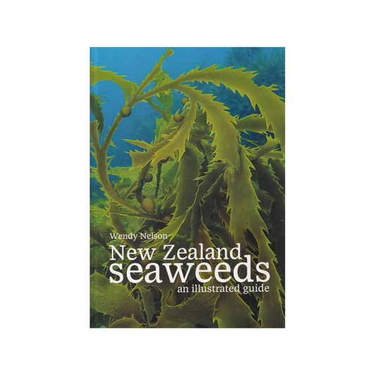 New Zealand Seaweeds. An Illustrated Guide. NEW.