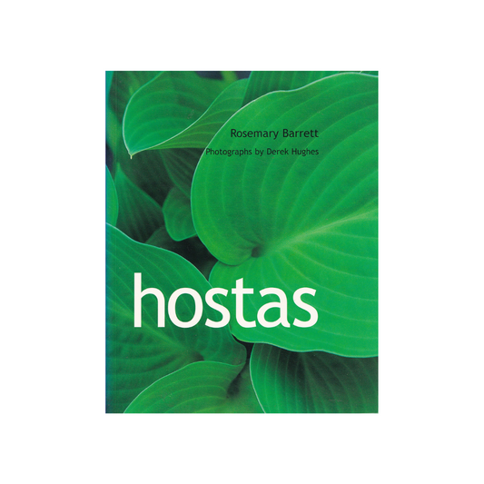 Hostas.