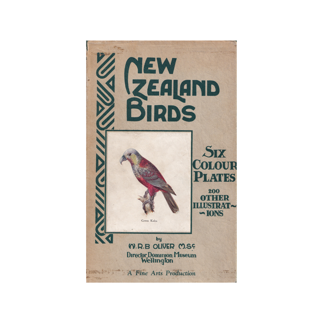 New Zealand Birds.