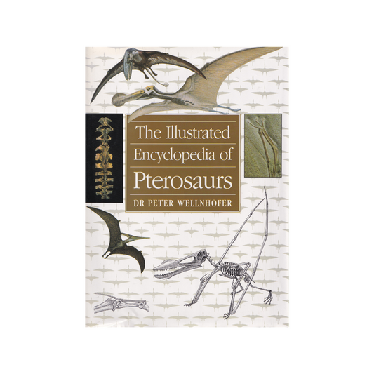 The Illustrated Encyclopedia of Pterosaurs.