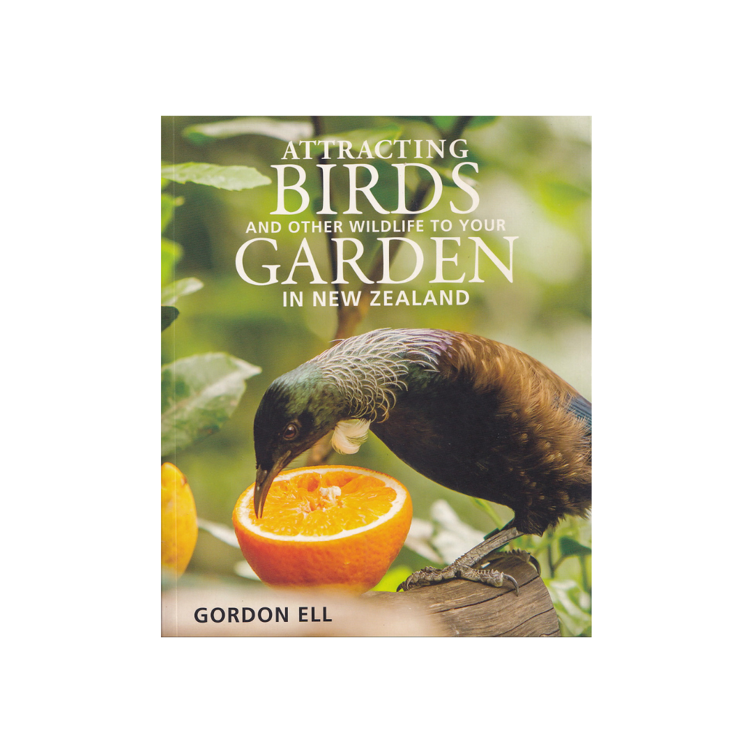 Attracting Birds and other Wildlife to your Garden in New Zealand.