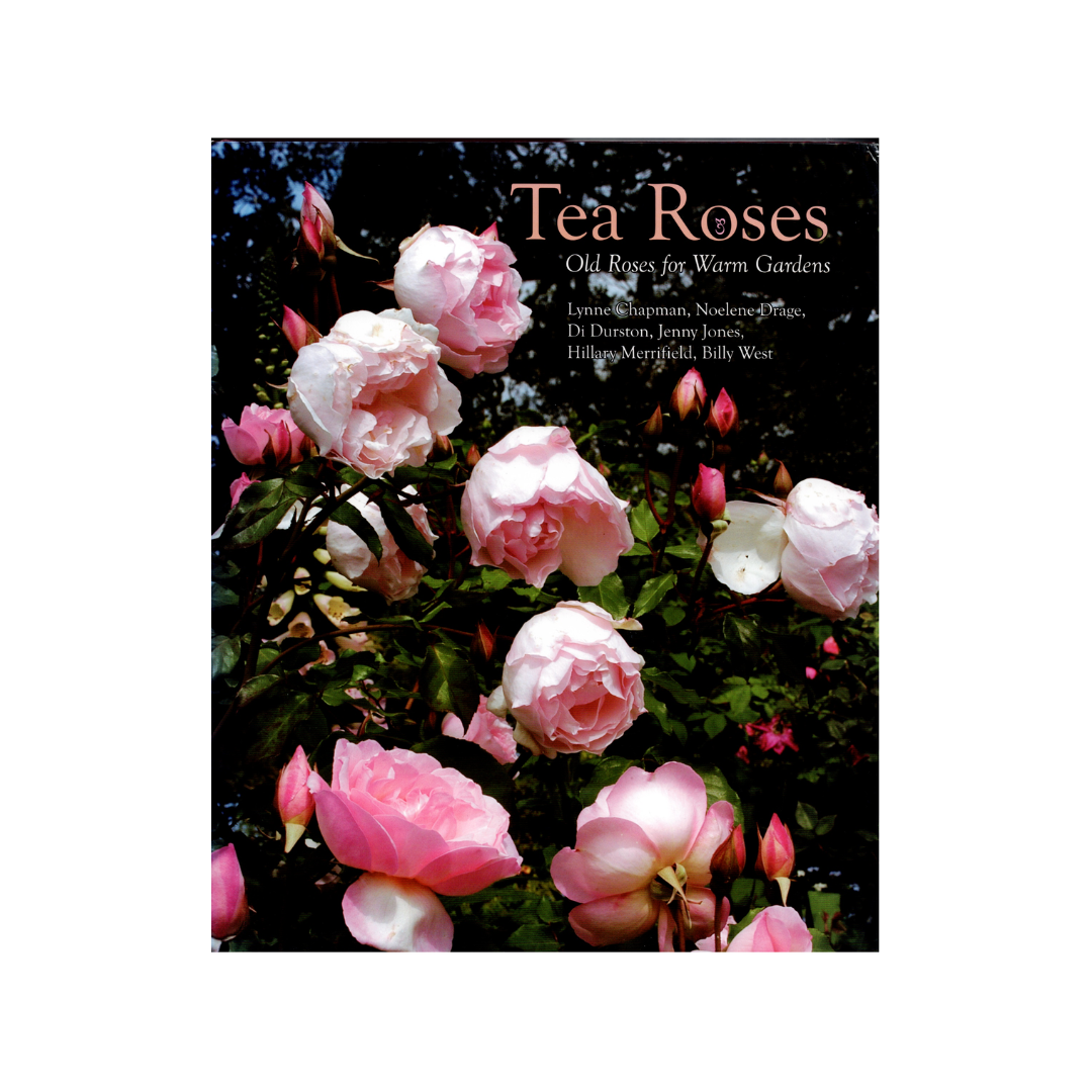 Tea Roses. Old Roses for Warm Gardens.
