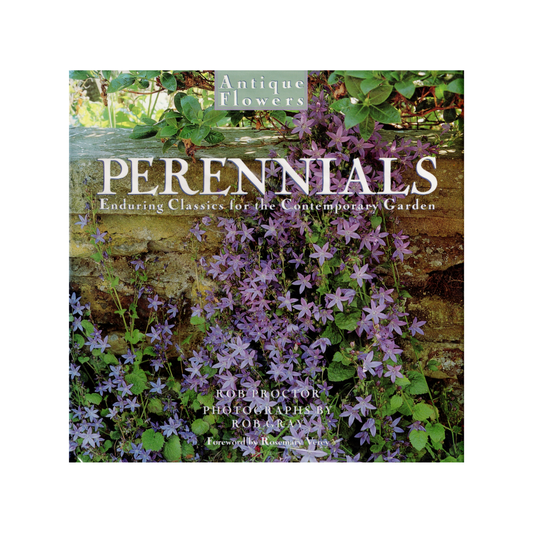 Antique Flowers: Perennials. Enduring Classics for the Contemporary Garden.