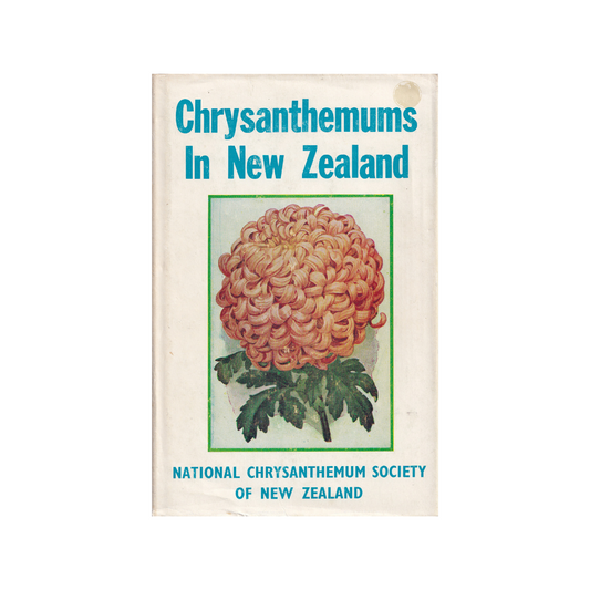 Chrysanthemums in New Zealand.